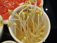 -鲁西肥牛(九方购物中心店)