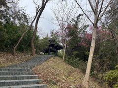 -蜀冈西峰生态公园