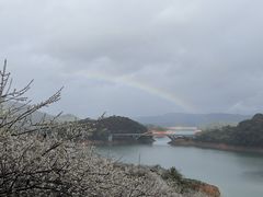 -广州市流溪河国家森林公园