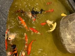 -古莲·影院足道·按摩SPA(水上温泉店)
