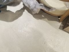 -藏猫猫咖啡主题馆(中央大道店)