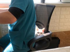 -美联众合动物医院·24h京西诊疗中心