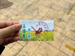 -上海都市菜园