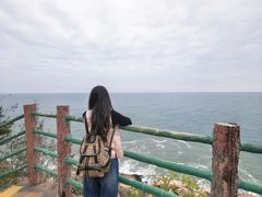 -广东惠东海龟国家级自然保护区