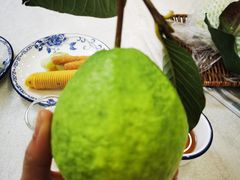 -津津名菜馆(绝没分店)