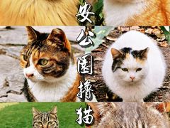 -静安公园(静安寺街道)