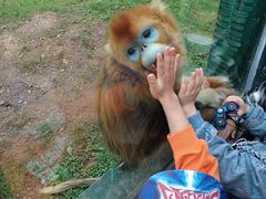 -西安秦岭野生动物园