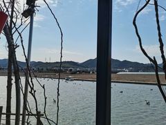 -米果果小镇