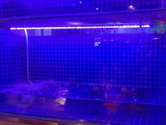 -蜀香三绝·牛蛙·烤鱼·天府炒鸡(安丘泰华店)