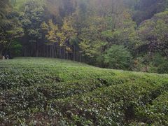 -敬亭山风景名胜区