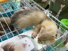 -宁波国际会展中心
