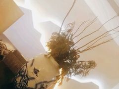 -璞禅足道(观音桥旗舰店)