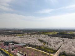 -古柏渡飞黄旅游区