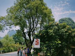 -村上春树