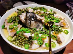 青青椒麻龙胆鱼-CHIC1699远洋私厨