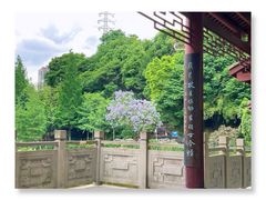 -重庆彩云湖湿地公园