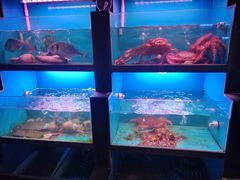 -月下料理(楷林IFC店)