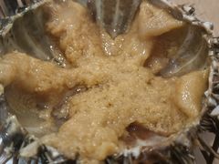 -海胆小馆(东北水饺·春柳店)