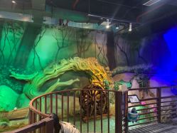 -酷嗒动物文化乐园(cutezoo西溪乐天城店)