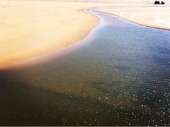 -日照海滨国家森林公园