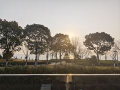 -苏州阳澄半岛英迪格酒店