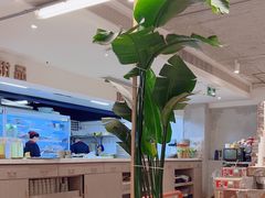 -朱氏胖子烂火锅(洪崖洞店)