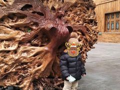 -龙达温泉生态城