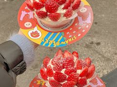 -伏小桃(明瓦廊店)