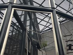 -石排湾郊野公园
