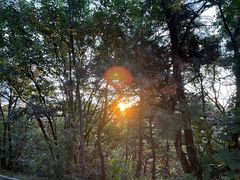 -沈阳辉山风景区