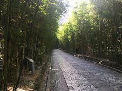 -蝴蝶泉公园