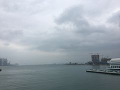 -SAINT LAURENT(海港城店)