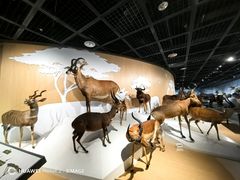 -陕西自然博物馆