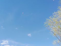 -绿堤公园