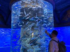 -波塞冬旅游度假区