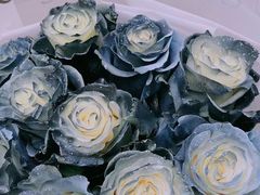 -花邻FloweringLife花艺气球派对(武康大楼店)