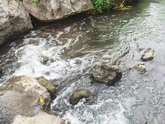 -羊山湖公园