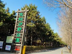 -沈阳市东陵公园