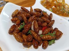 -食鸡公社辣子鸡·潍坊菜·烧烤