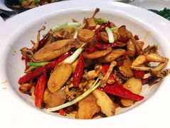 姜辣田鸡-庞家烧烤客栈(炮台山店)