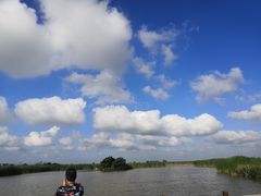 -盐城丹顶鹤湿地生态旅游区