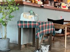 -咖法森林·咖啡  酒吧(天河店)