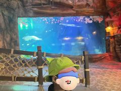 -华夏文旅西安度假区