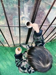 -萌宠亲子动物乐园(槐房万达店)