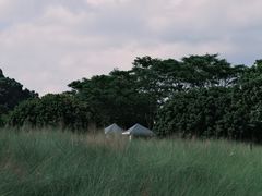 -红花山公园