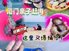 -厦门明发国际大酒店(会展中心环岛路店)