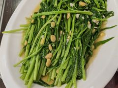 炒应菜-长平肥姐白粥·海鲜打冷