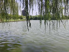 -济南大明湖景区