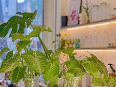 -绿小院(荔湾店)