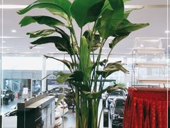 -北京鹏龙瑞星奔驰4s店(来广营店)